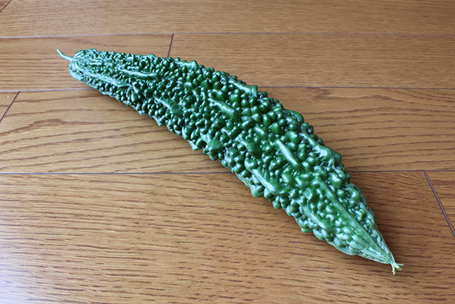 30cm級ゴーヤの実