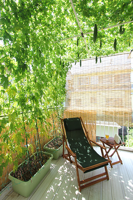 グリーンルーム、デッキチェア