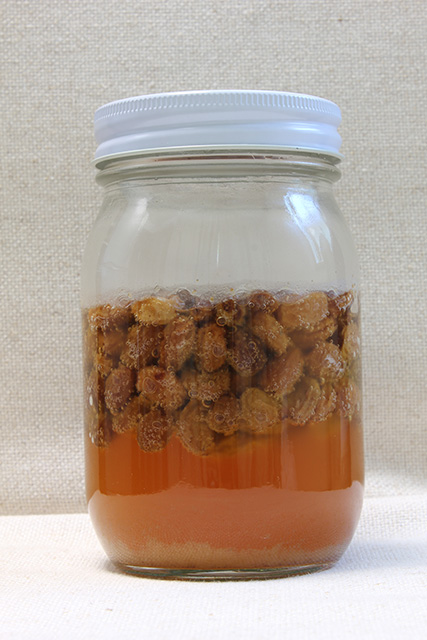 水の中で泡立つ自家製酵母用のレーズン