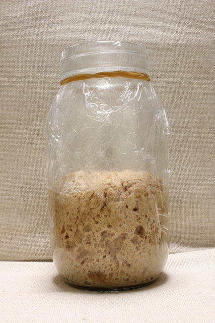 発酵が進み体積が2倍程度になった状態