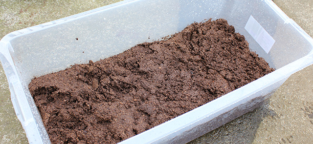 プランターに土が入っている