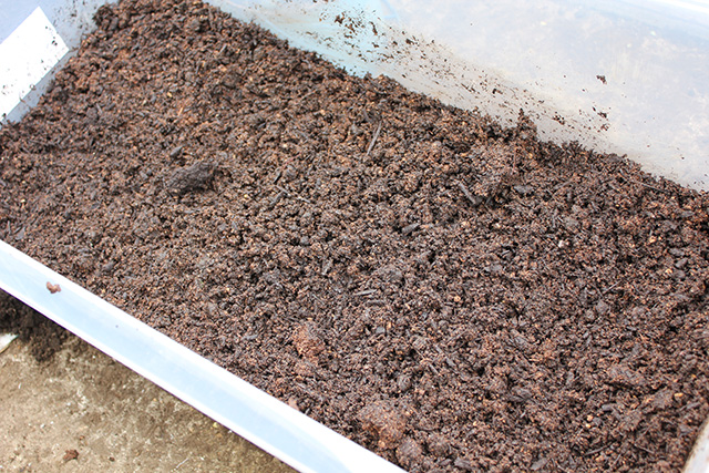 プランターに入れられた土