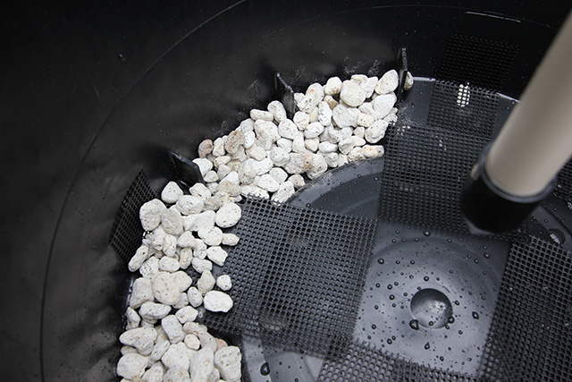 ポット底の防虫網の上に、内側面に沿って白い小石が敷かれている