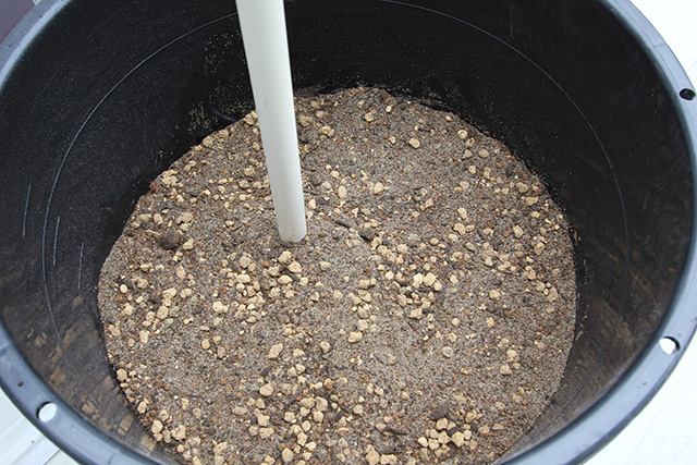 ポットに用土が入っている