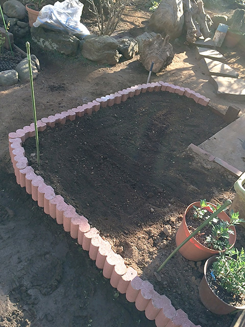 花壇のブロックを移動させたところまで土が敷き詰められている 