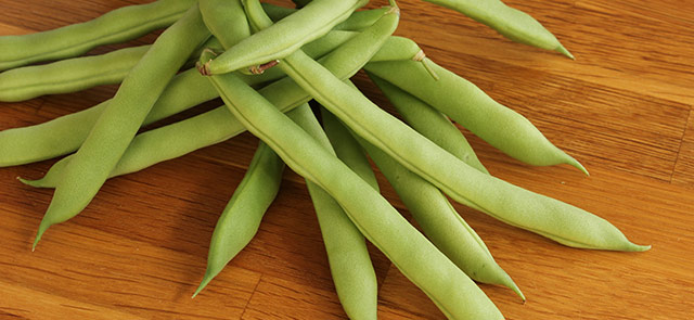 種まきトレー内で発芽し本葉の出たシカクマメとつるむらさき