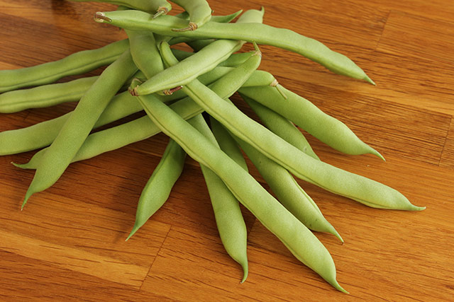 床の上に、収穫した十数本のつるありインゲンの実がおかれている
