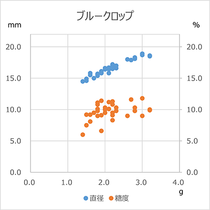 ブルークロップ　直径と糖度のグラフ