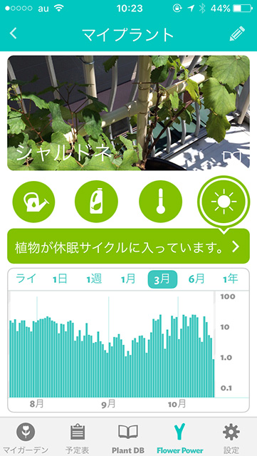 「Parrot Flower Power」アプリ画面。「太陽光量」が棒グラフが表示されている。8月後半から9月前半にかけて数値がやや低下している。「植物が休眠サイクルに入っています。」の文字が見られる。