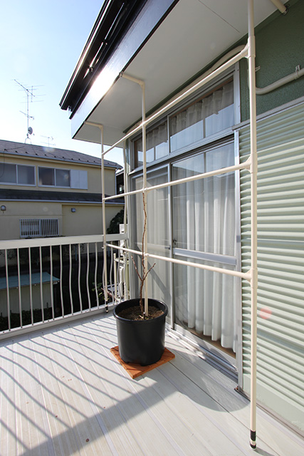 棚のパイプがベランダへの入口側に移動されている。その側にポット（鉢）が置かれている。ポットから葉のついていない茎が少し伸びている
