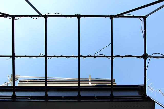 剪定の済んだキウイ棚の真下から、晴れ渡った青空を見上げる。（前写真と同アングル）