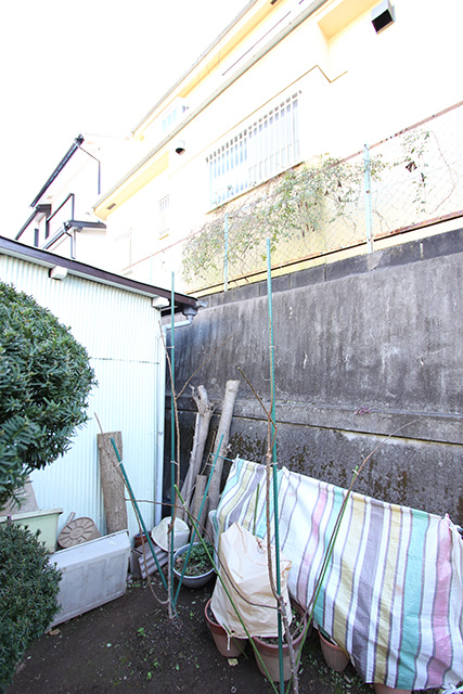 トタン壁の小屋の脇に植えられた、剪定済みのアンズの若樹（前写真と同アングル）