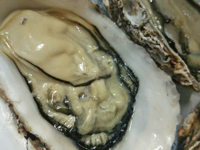 殻付きの牡蠣の身